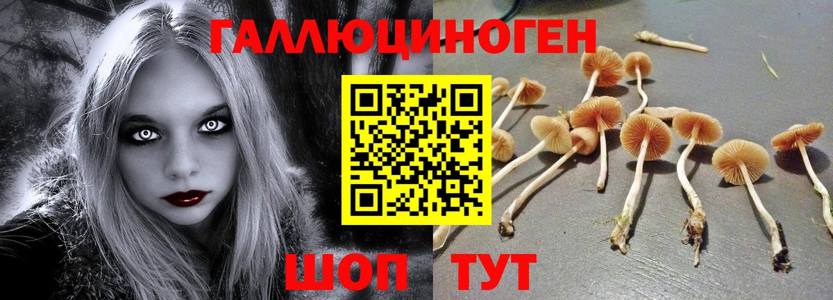Псилоцибиновые грибы прущие грибы  Вход с VPN  Холмск  Галлюциногенные грибы MAGIC MUSHROOMS 